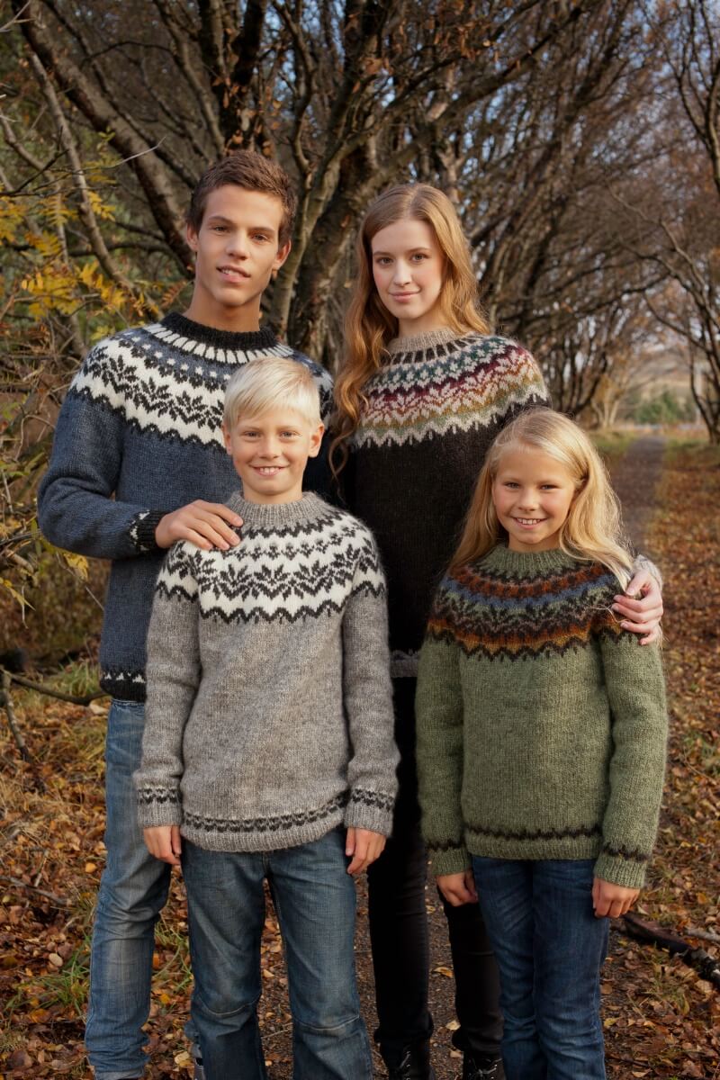 Maryanne Jones Taxpayer korrekt Afmæli islandsk sweater gratis strikkeopskrift » Nordisk garn